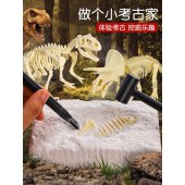 恐龙考古挖掘套装